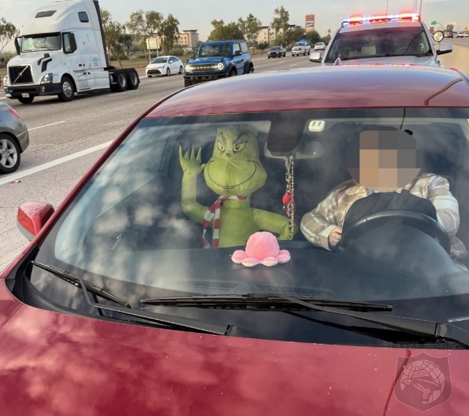 arizona-police-claim-that-inflatable-doll-you-have-in-the-passenger